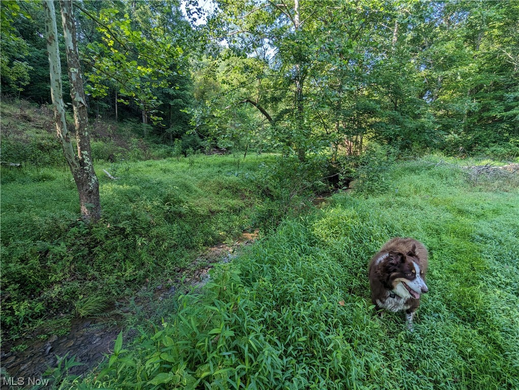 1700 Back Fork Road Big Springs, WV 26137 - Photo 15 of 16