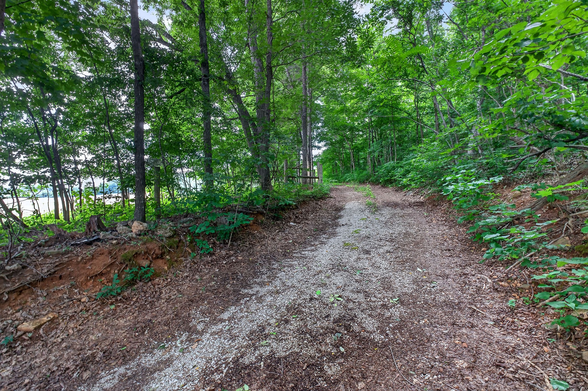 0 Moore Cove Road Sparta, TN 38583 - Photo 18 of 19