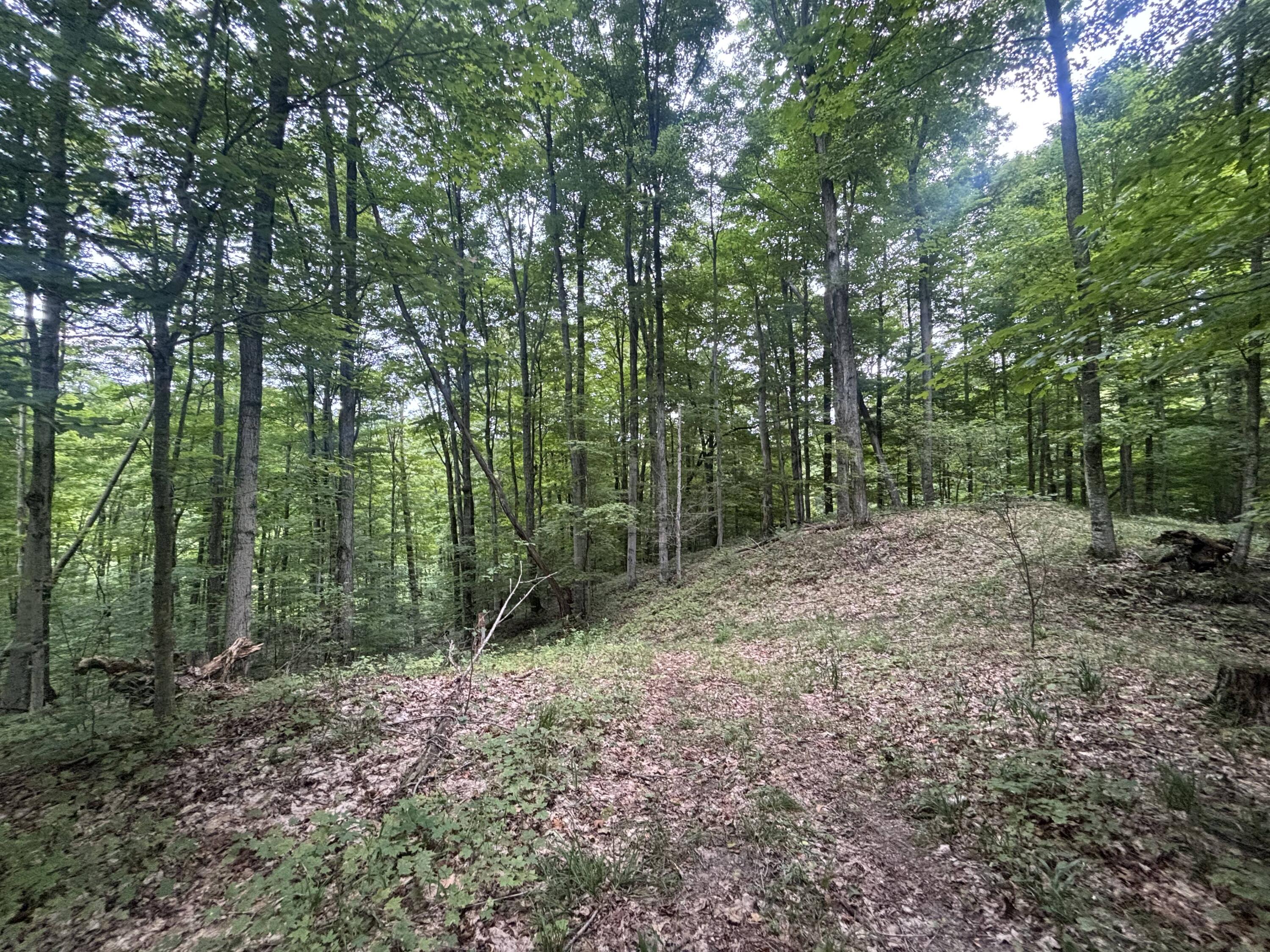 E20 A Lambdin Road East Jordan, MI 49727 - Photo 29 of 31 IMG_4589