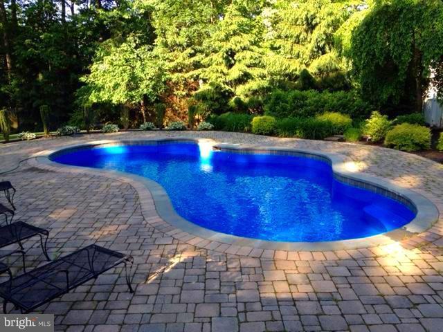 3915 St Paul Road Hampstead, MD 21074 - Photo 29 of 30 Lagoon shaped in ground pool