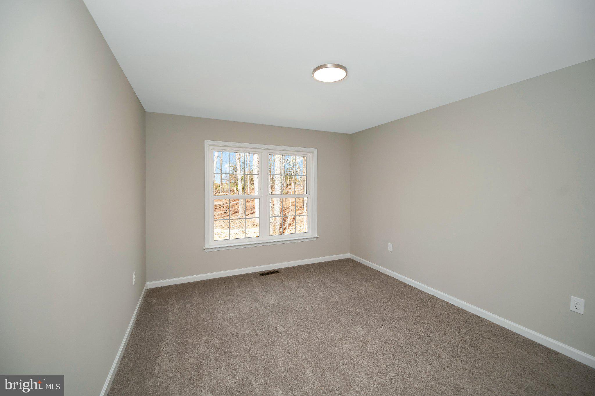 28150 Tatum Road Unionville, VA 22567 - Photo 22 of 28 Bright and airy blank canvas room.