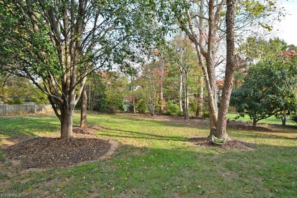 1729 Curraghmore Road Clemmons, NC 27012 - Photo 26 of 29