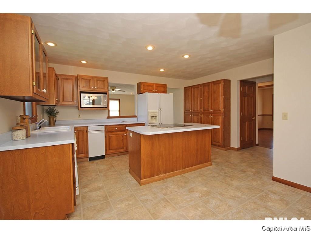 224 Bristol Road Chatham, IL 62629 - Photo 9 of 36 Gallery Image 9