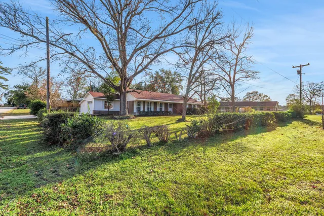 a view of a house with a yard covered with plants and trees
