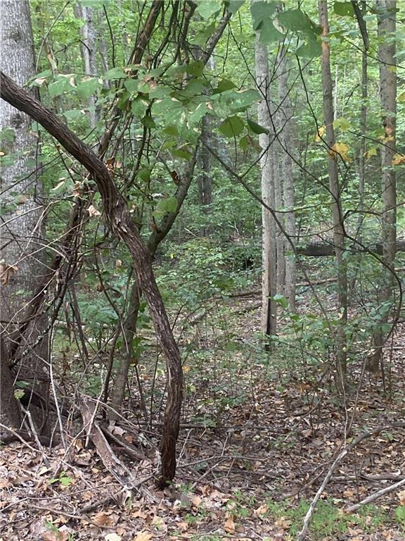 1145 Embry Court Ranger, GA 30734 - Photo 2 of 5 a view of forest