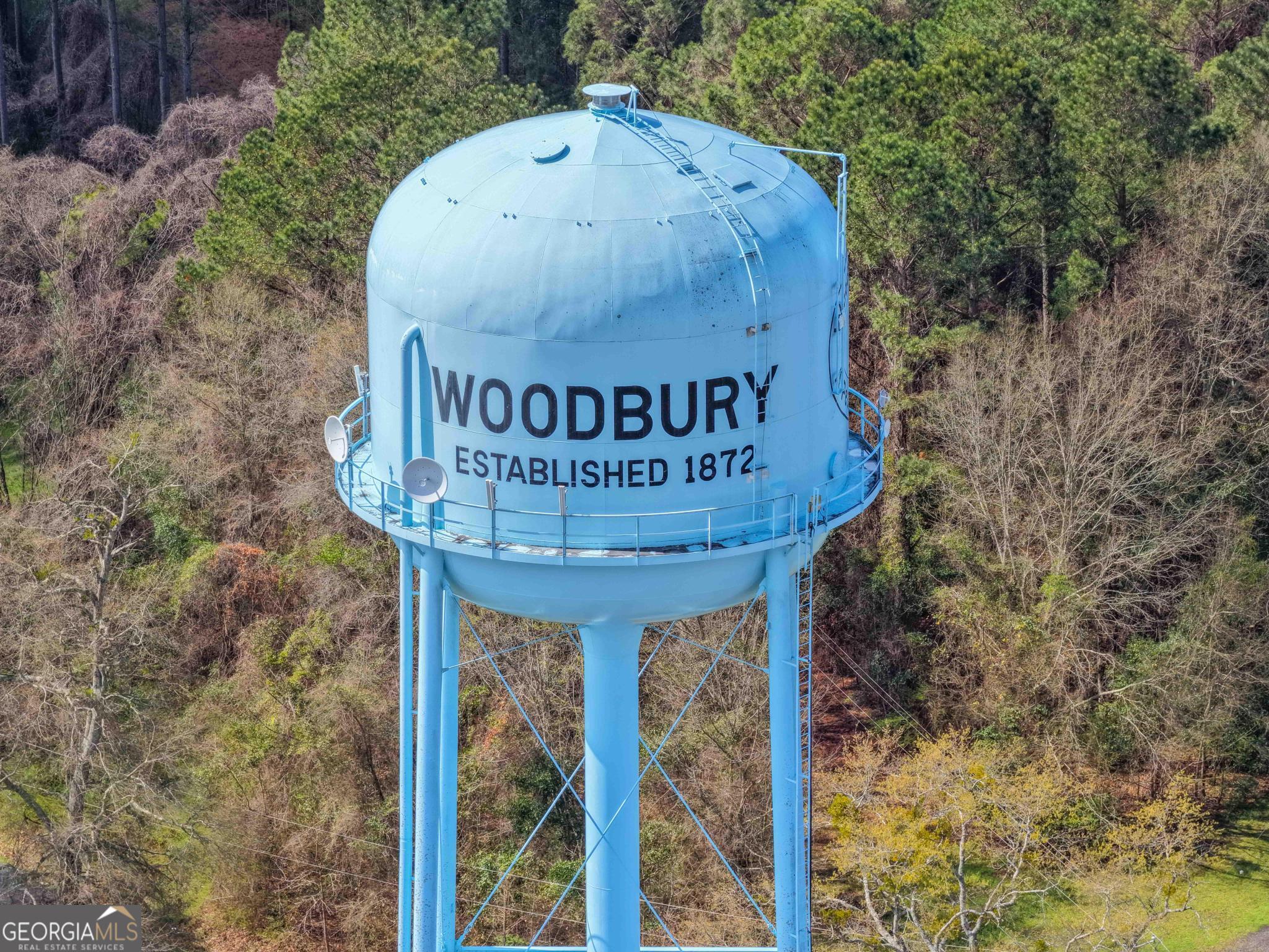 193 Bartee Road Woodbury, GA 30293 - Photo 84 of 84