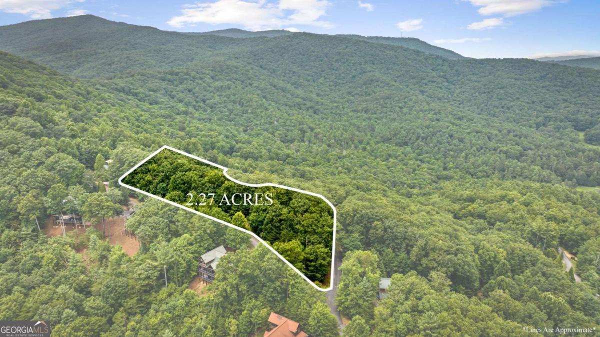 140 Bandit Lane Blue Ridge, GA 30513 - Photo 1 of 1 Gallery Image 1