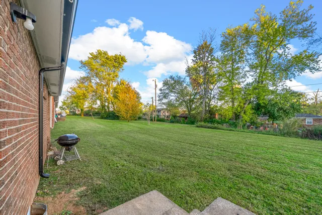 a view of a backyard