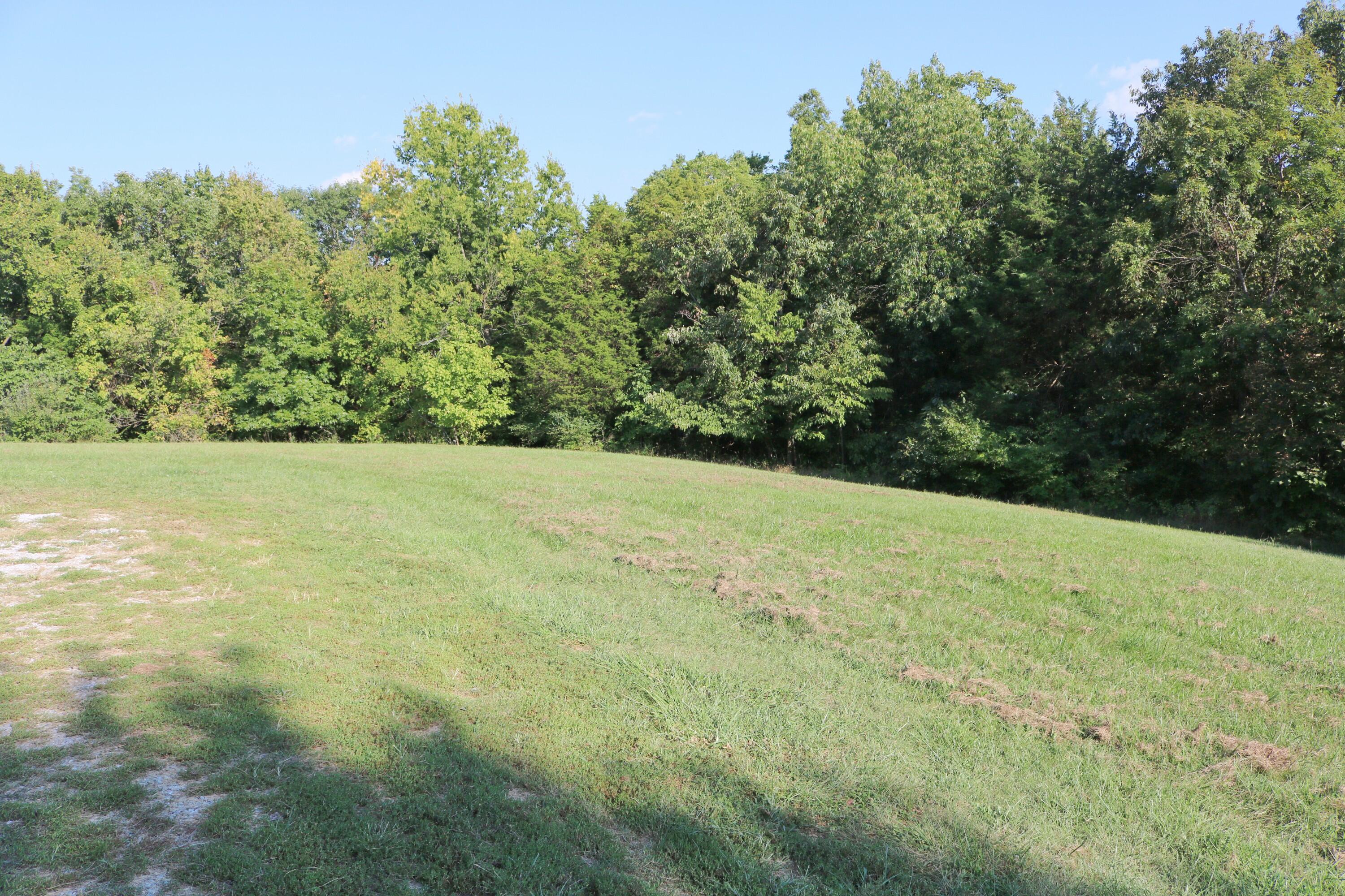 590 Agee Road Owenton, KY 40359 - Photo 5 of 22 IMG_2086_inPixio