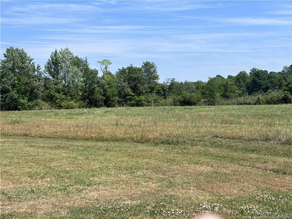 Backswamp Road Lumberton, NC 28360 - Photo 10 of 16 Photo 10