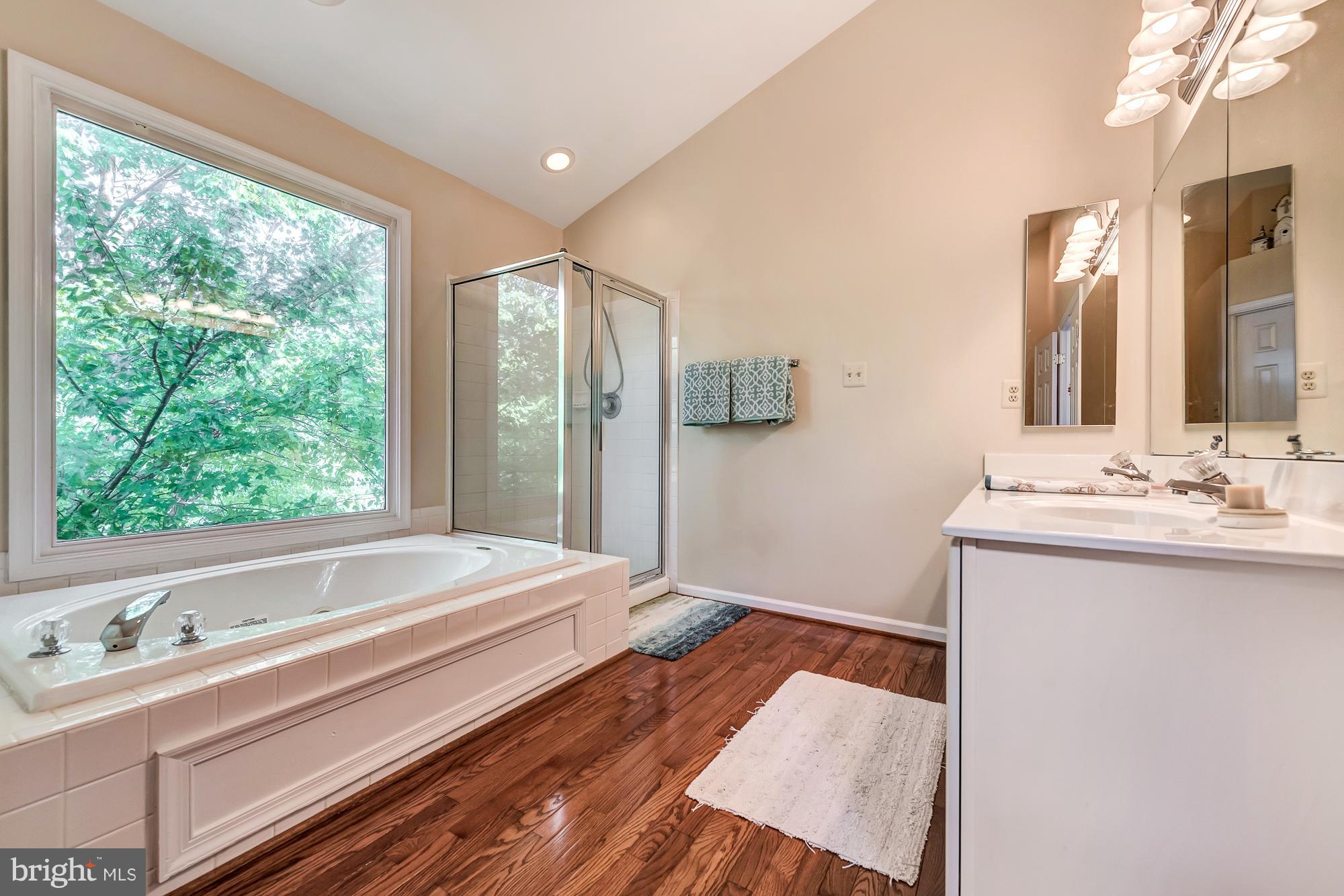 16903 Hoskinson Road Poolesville, MD 20837 - Photo 21 of 29 Bath (Master)