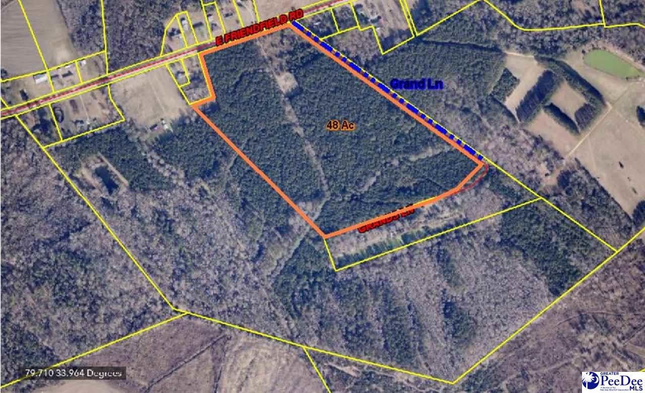 Tbd East Tbd E Friendfield Road Coward, SC 29530 - Photo 4 of 17 Gallery Image 4