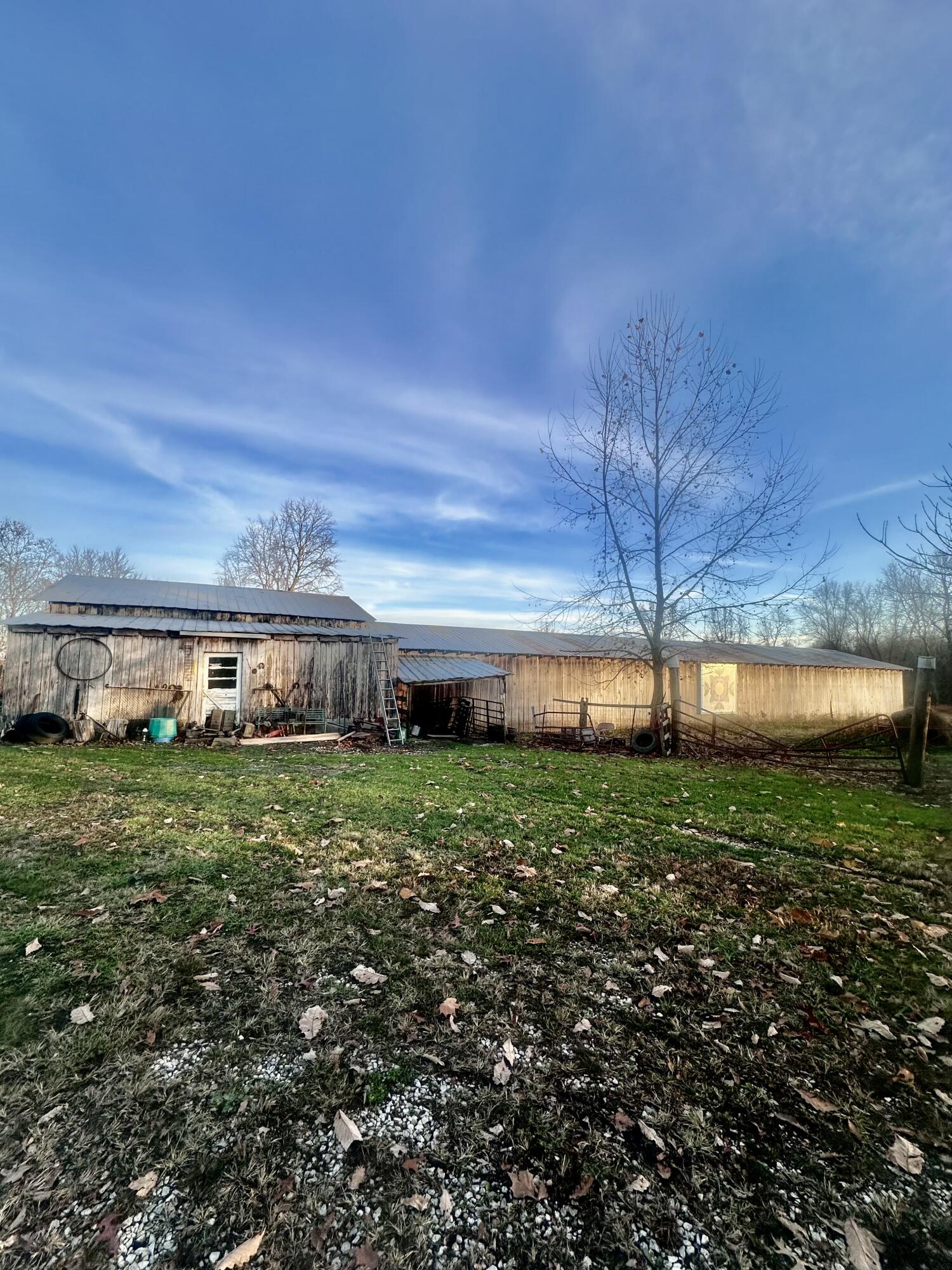 3230 Open Fork Road Morehead, KY 40351 - Photo 14 of 25 IMG_6534