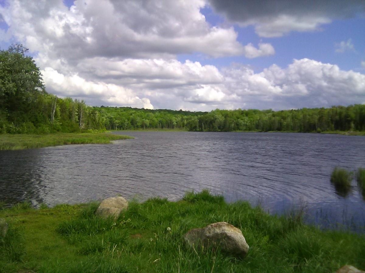 1380 East Hill Road Wolcott, VT 05680 - Photo 25 of 25