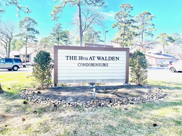 a view of a tree in a yard