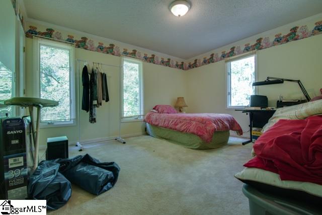 341 Log Shoals Road Greenville, SC 29607 - Photo 12 of 18 Gallery Image 12