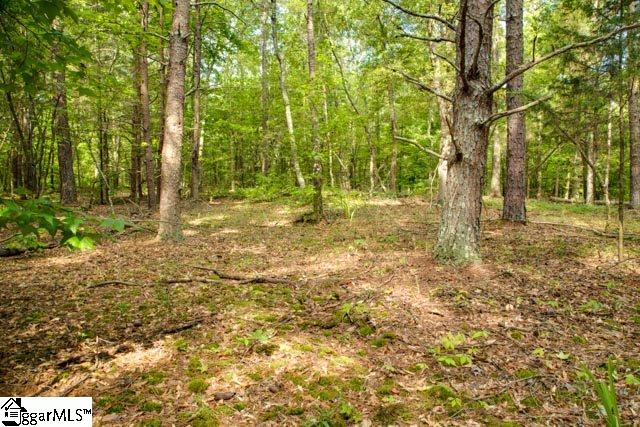 341 Log Shoals Road Greenville, SC 29607 - Photo 14 of 18 Gallery Image 14