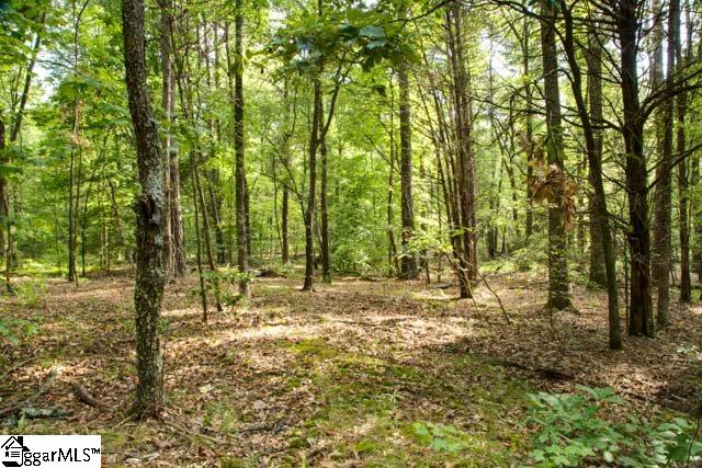 341 Log Shoals Road Greenville, SC 29607 - Photo 17 of 18 Gallery Image 17