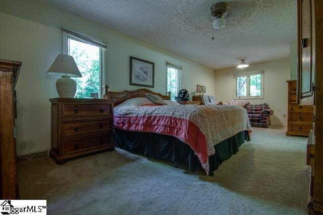 341 Log Shoals Road Greenville, SC 29607 - Photo 9 of 18 Gallery Image 9