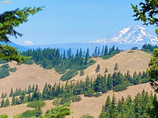 2150 Elder Road Hood River, OR 97031 - Photo 29 of 32 Gallery Image 29