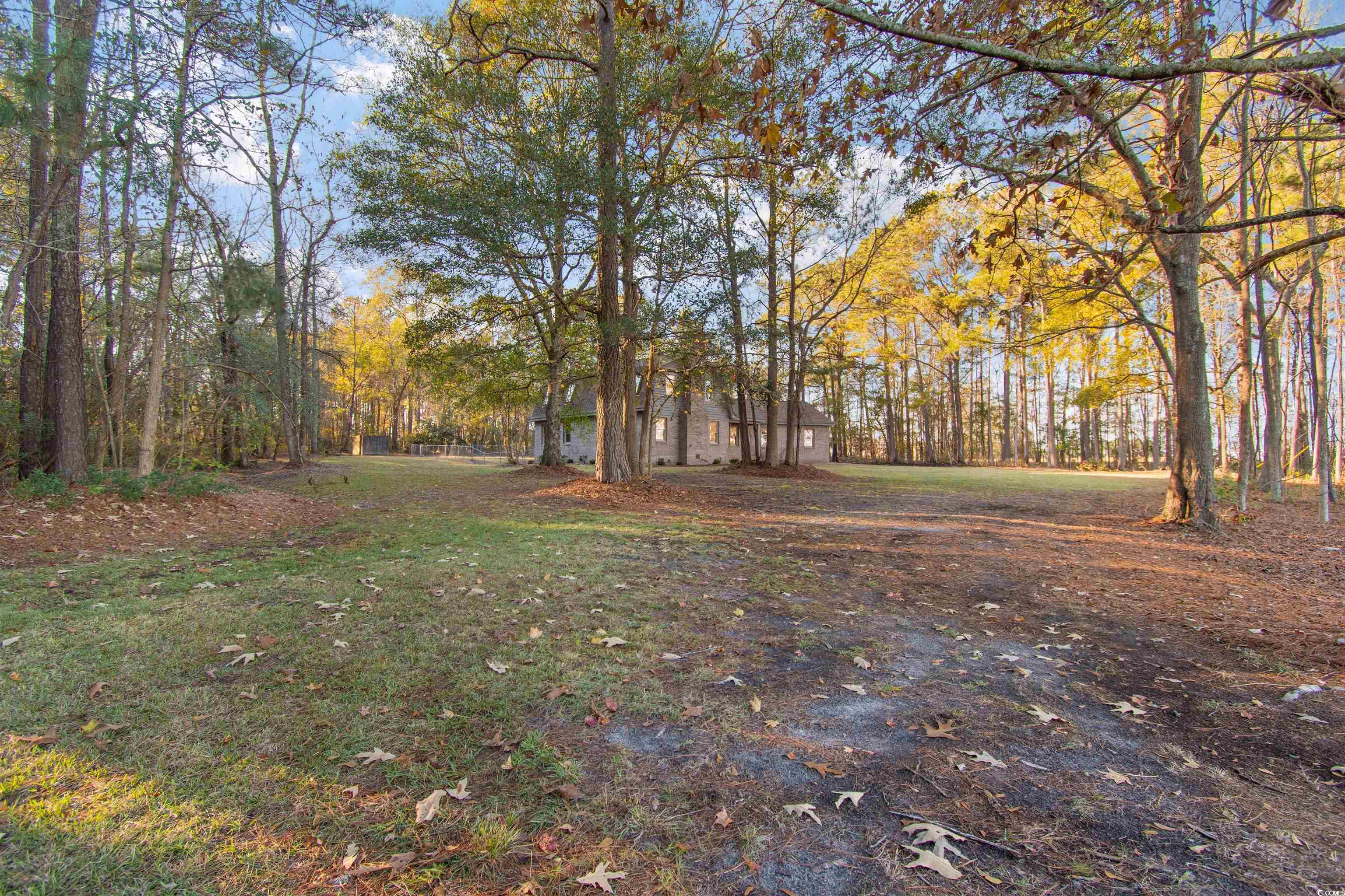 50 Irvin Enzor Road North Fair Bluff, NC 28439 - Photo 23 of 26 View of yard featuring a forest view