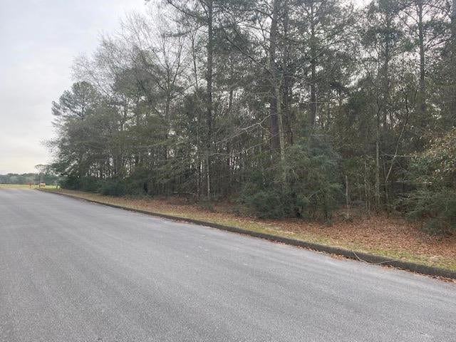 Tbd Shannan Road Opp, AL 36467 - Photo 17 of 20 Gallery Image 17