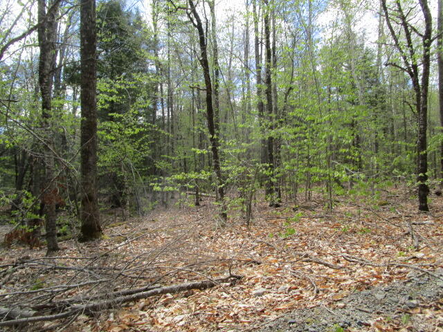 0 Scotts Neck Road Ellsworth, ME 04605 - Photo 2 of 6 IMG_0654