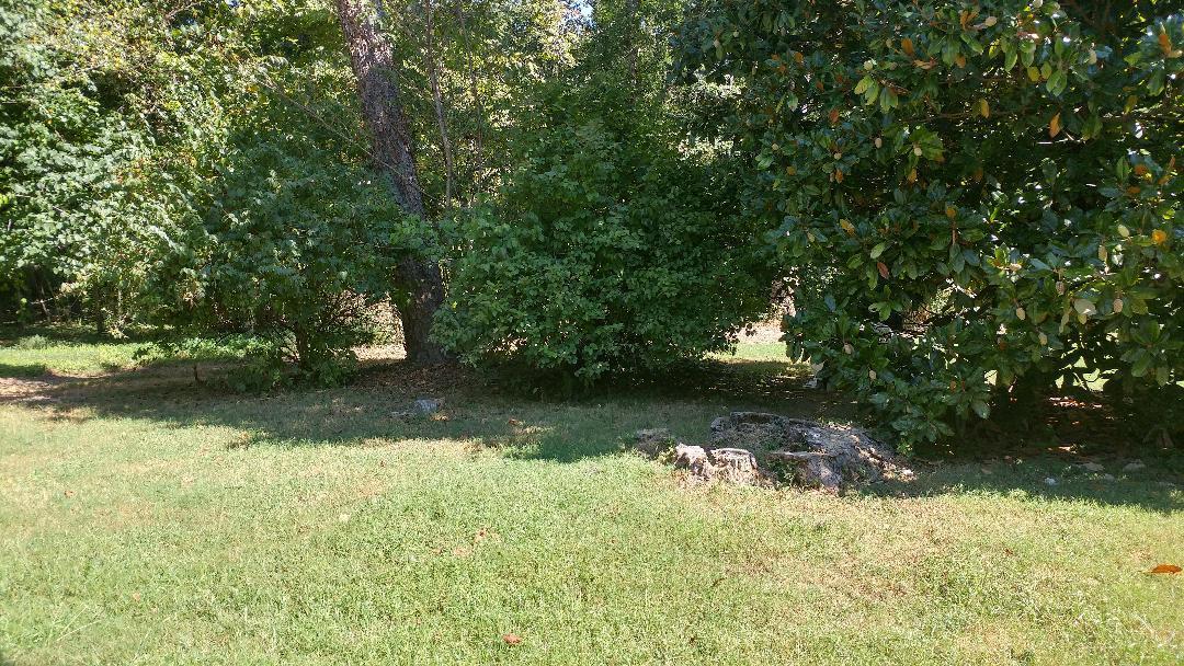 Newell Lane Oak Ridge, TN 37830 - Photo 1 of 3 3