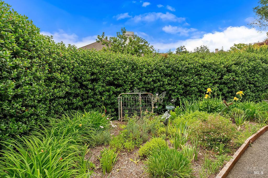 6252 Meadowstone Drive Santa Rosa, CA 95409 - Photo 5 of 33