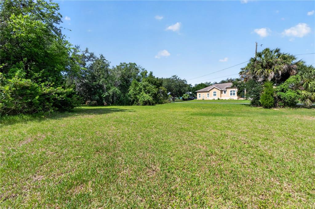 4540 South Sawgrass Circle Homosassa, FL 34448 - Photo 7 of 22 a view of a grassy field with trees in the background