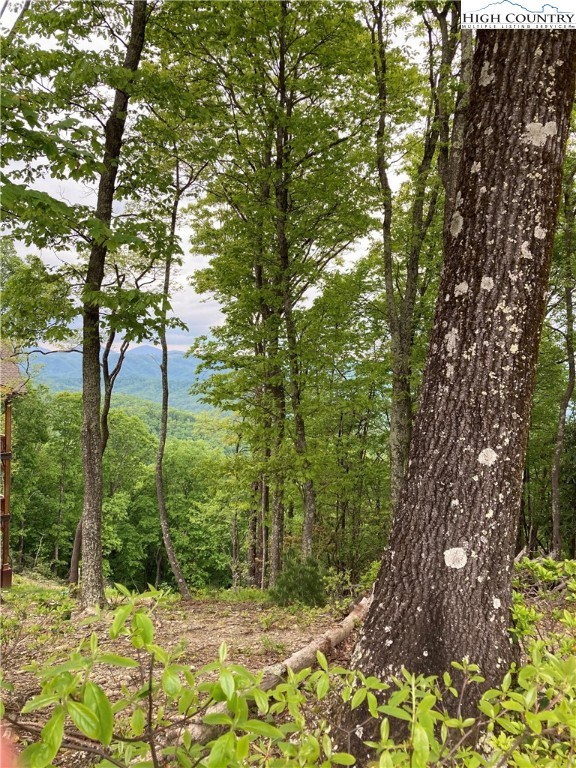 Acanthus Trail Boone, NC 28607 - Photo 1 of 4