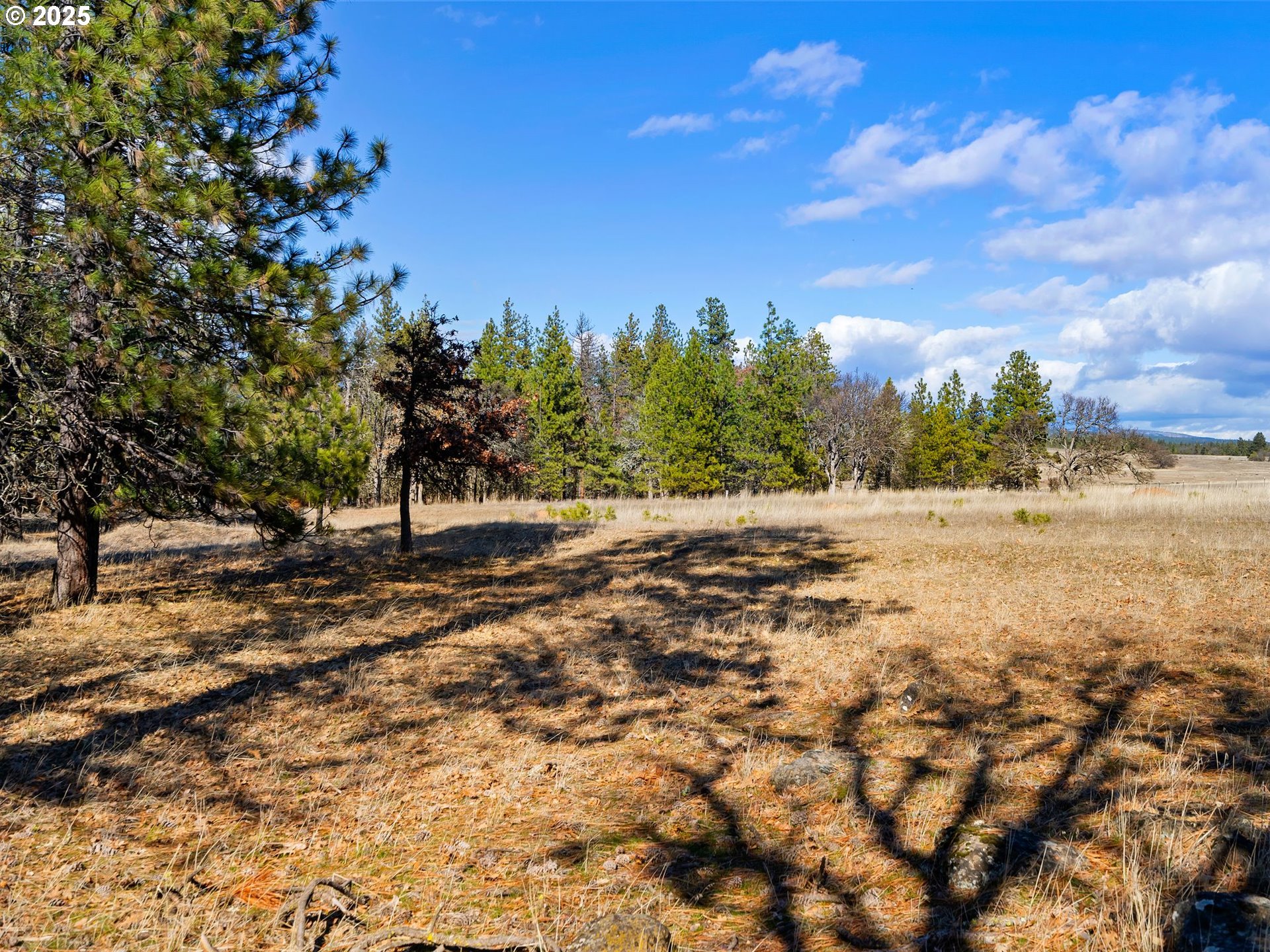 Foster Road Goldendale, WA 98620 - Photo 11 of 30 Gallery Image 11