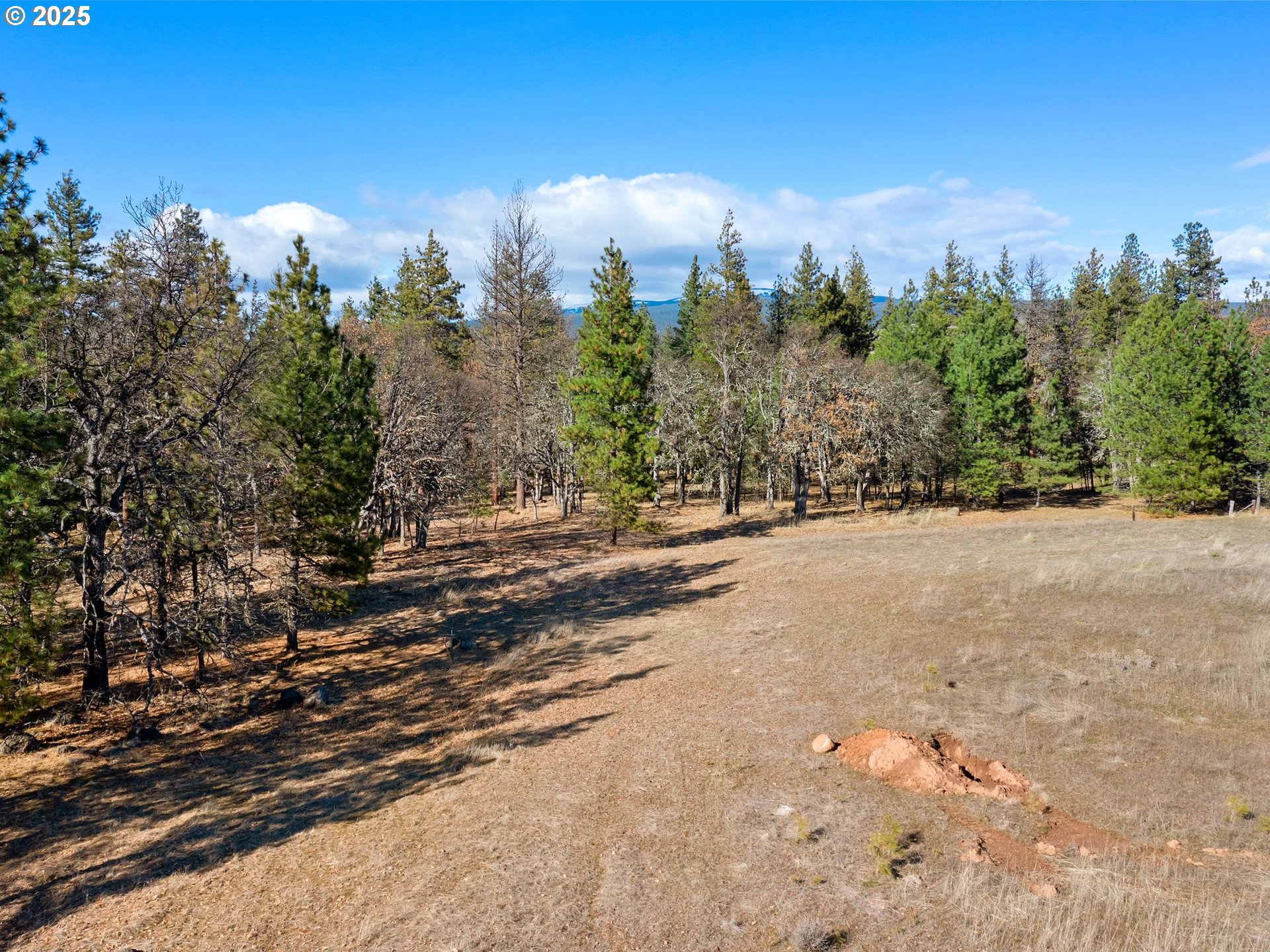 Foster Road Goldendale, WA 98620 - Photo 5 of 30 Gallery Image 5