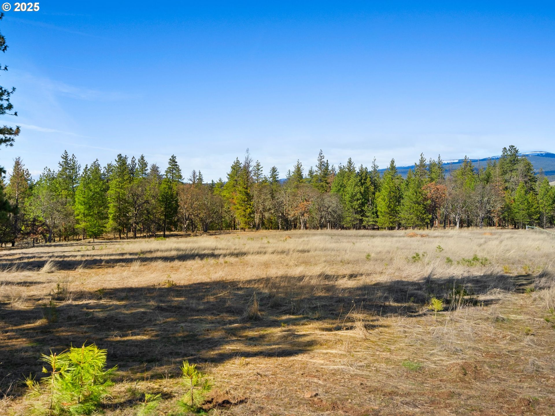 Foster Road Goldendale, WA 98620 - Photo 7 of 30 Gallery Image 7
