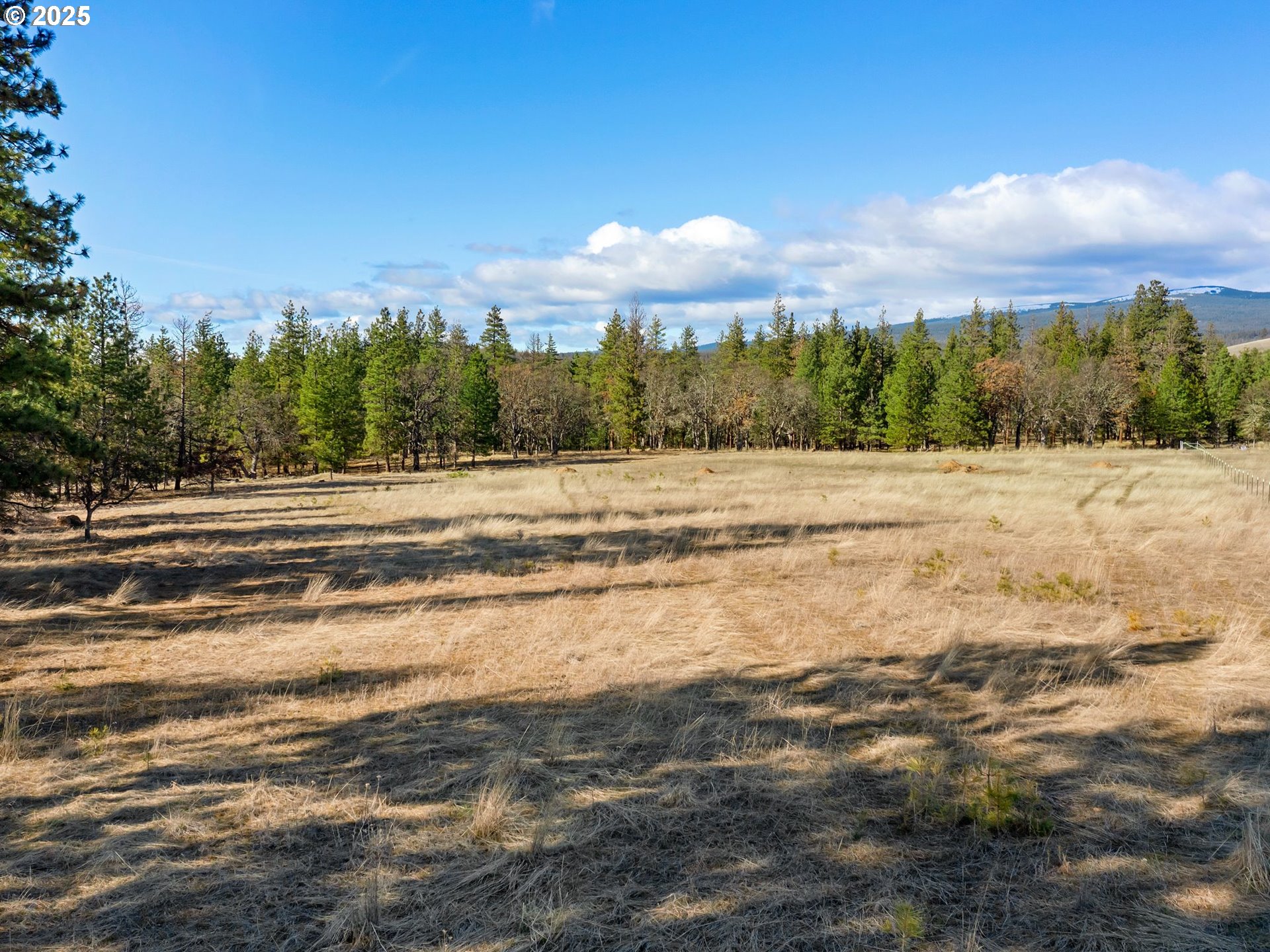 Foster Road Goldendale, WA 98620 - Photo 8 of 30 Gallery Image 8