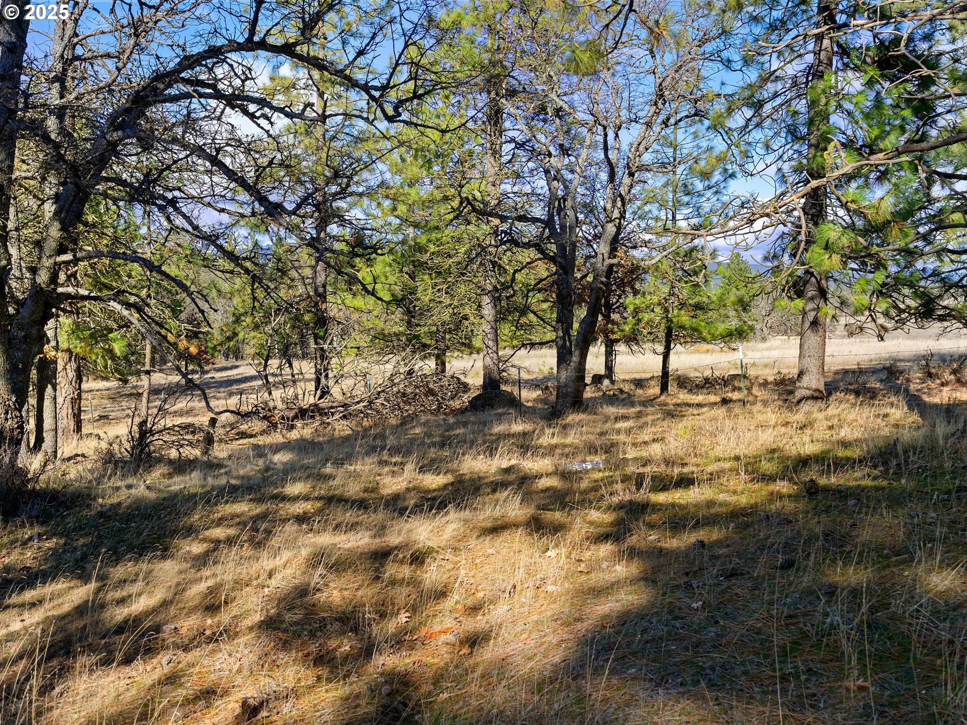 Foster Road Goldendale, WA 98620 - Photo 10 of 30 Gallery Image 10