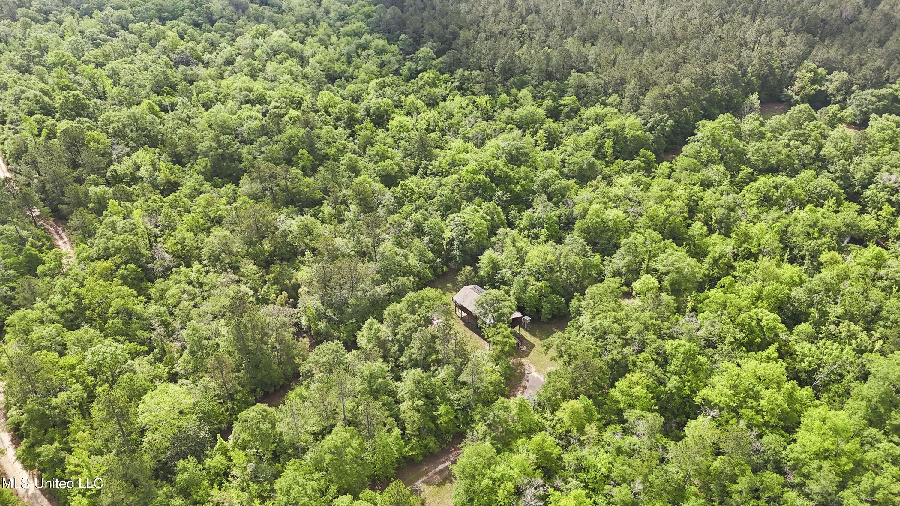 377 A Deep Creek Road Wiggins, MS 39577 - Photo 22 of 34 022