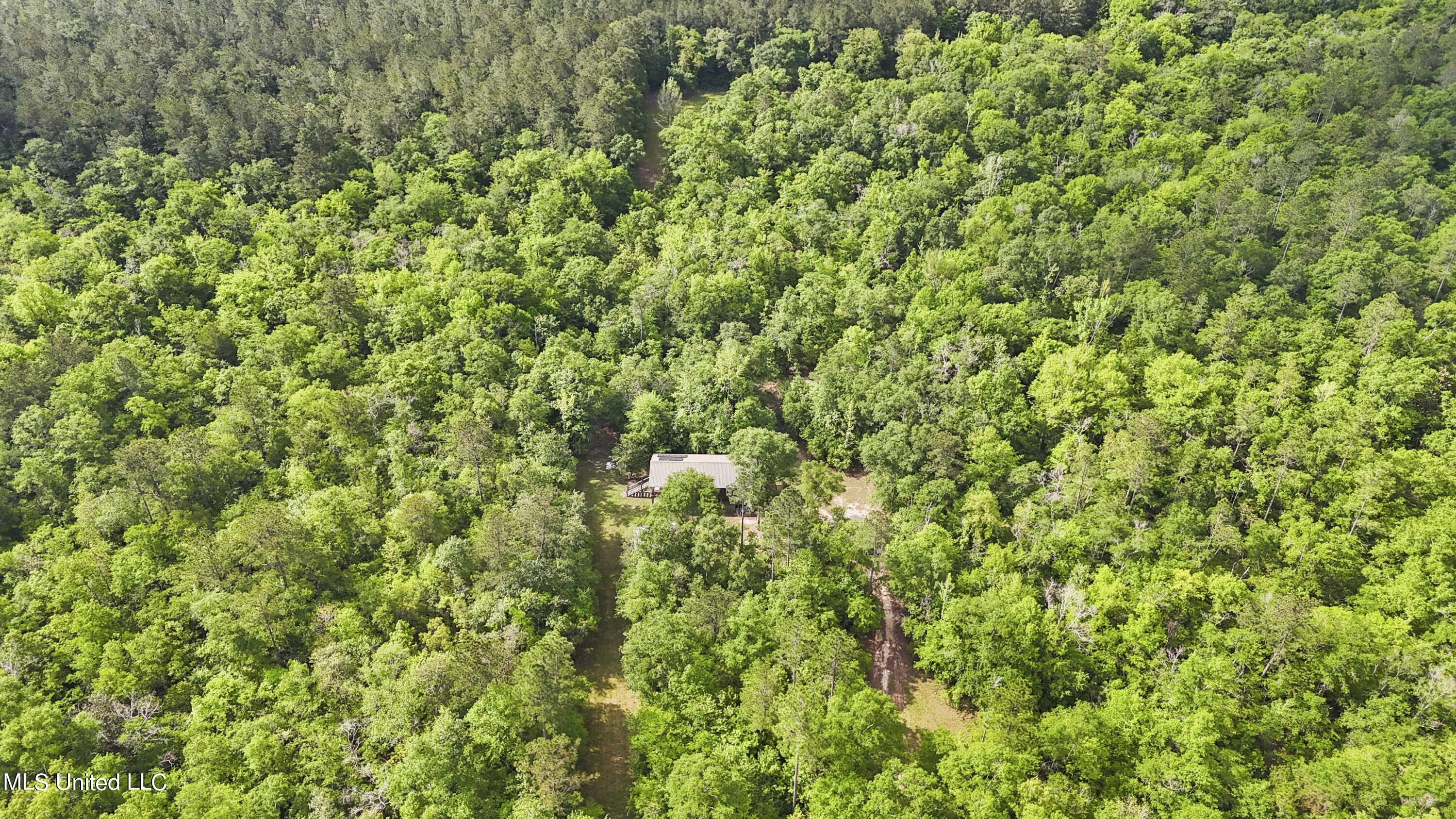 377 A Deep Creek Road Wiggins, MS 39577 - Photo 23 of 34 023