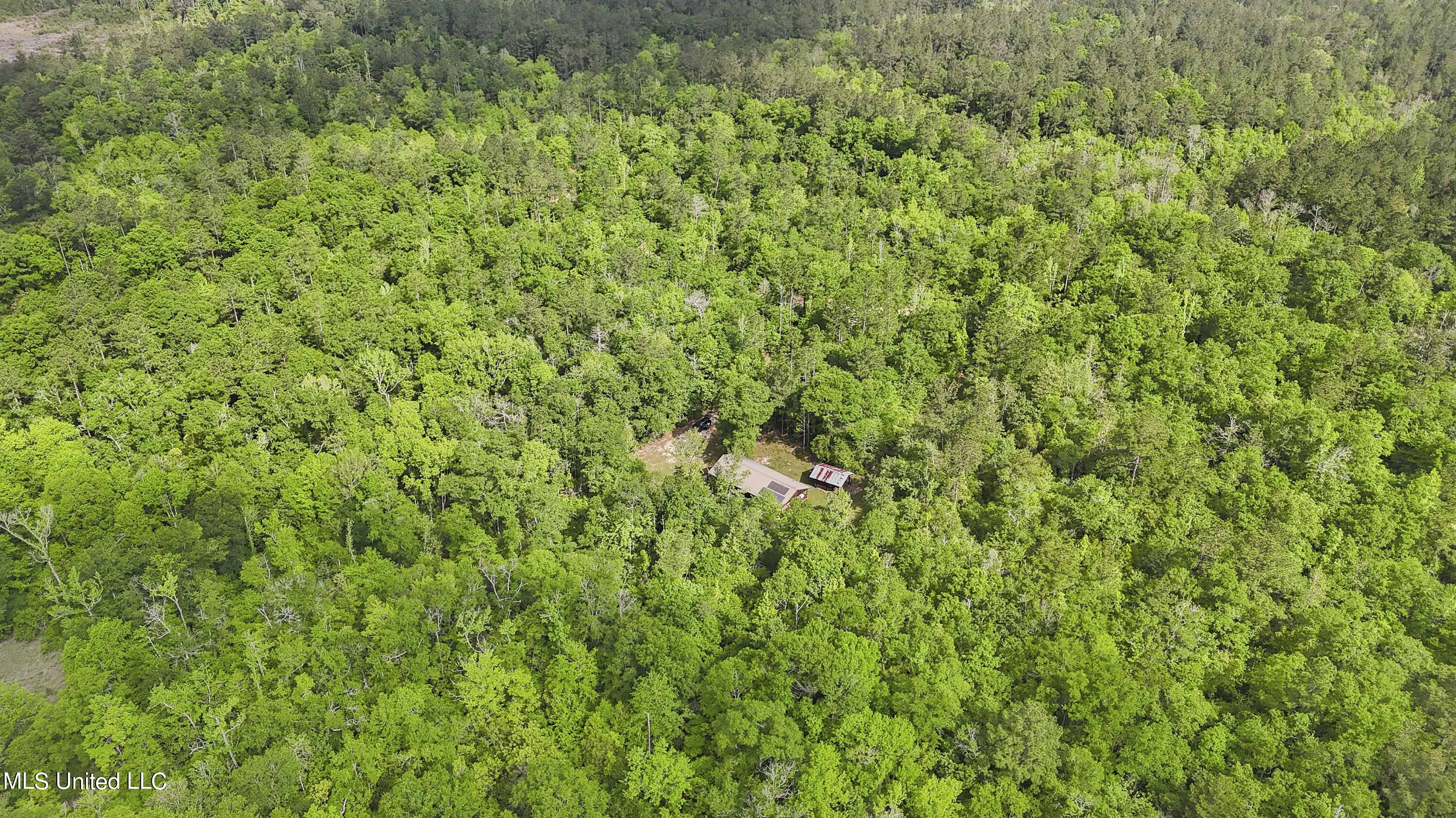 377 A Deep Creek Road Wiggins, MS 39577 - Photo 26 of 34 026
