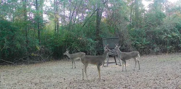 $395,000 | 1050 Deep Creek Road, Wiggins, MS 39577