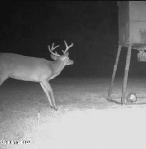 $395,000 | 1050 Deep Creek Road, Wiggins, MS 39577