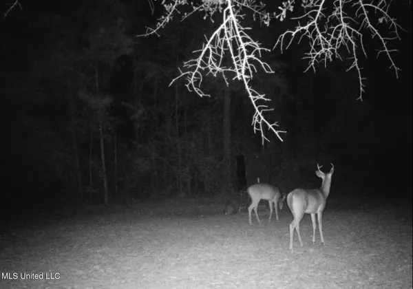 $395,000 | 1050 Deep Creek Road, Wiggins, MS 39577