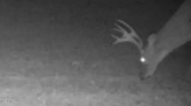 $395,000 | 1050 Deep Creek Road, Wiggins, MS 39577