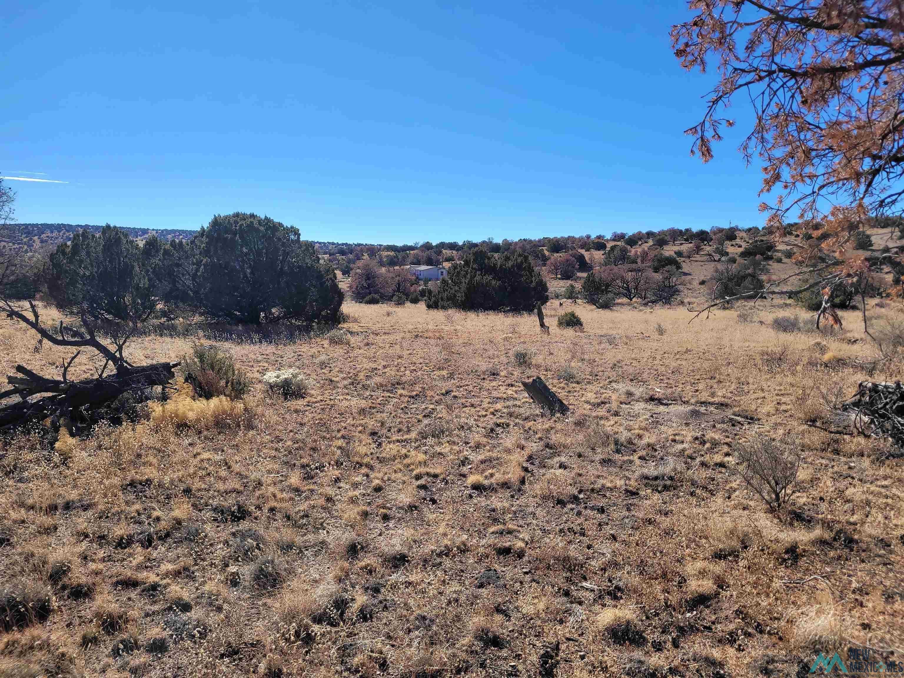 24 Hillside Circle Datil, NM 87821 - Photo 49 of 55 Gallery Image 49