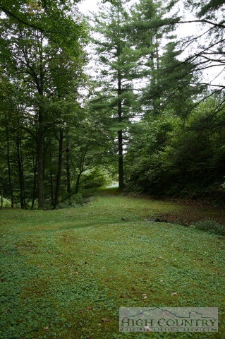 454 Hoke Wagoner Road Crumpler, NC 28617 - Photo 7 of 15 Gallery Image 7
