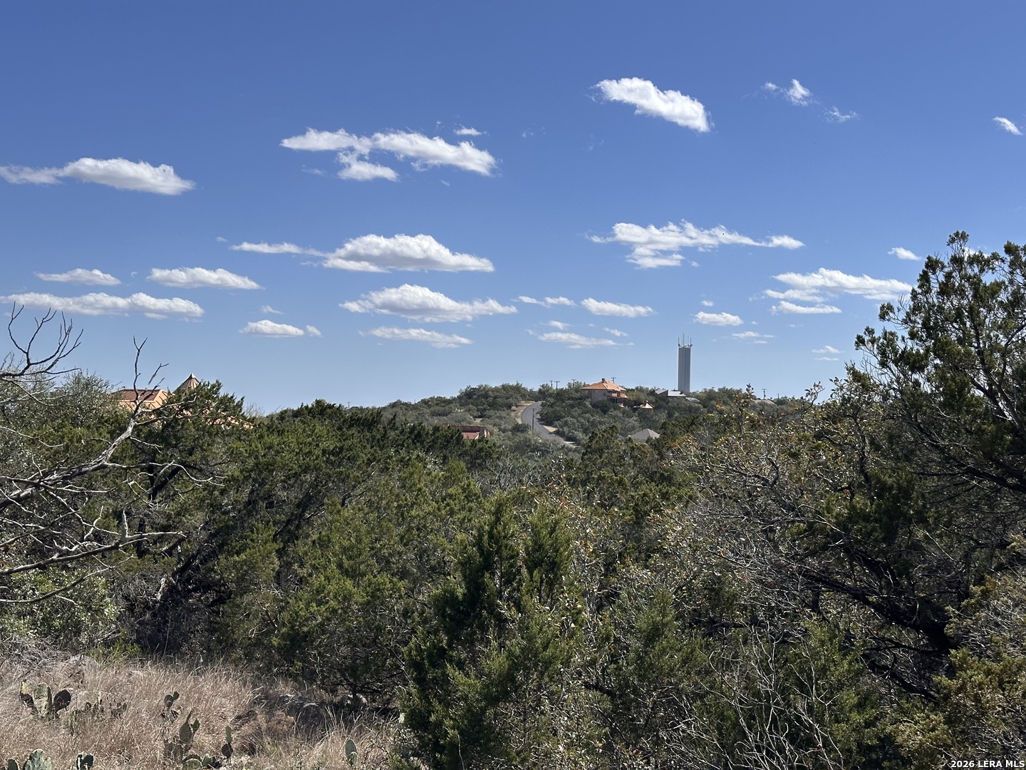 15669 Vista Grande Helotes, TX 78023 - Photo 2 of 12 a view of a city