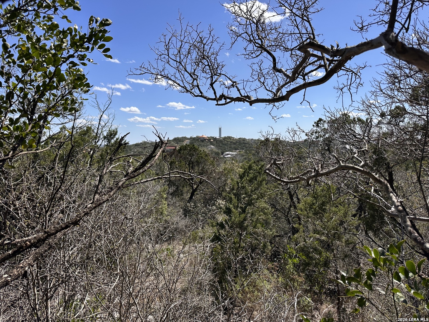 15669 Vista Grande Helotes, TX 78023 - Photo 6 of 12 a view of mountain view with large tree