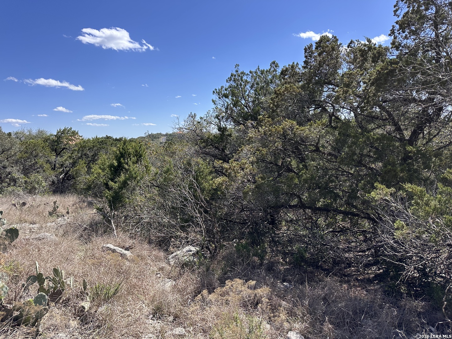 15669 Vista Grande Helotes, TX 78023 - Photo 8 of 12 a view of a city with lots of trees