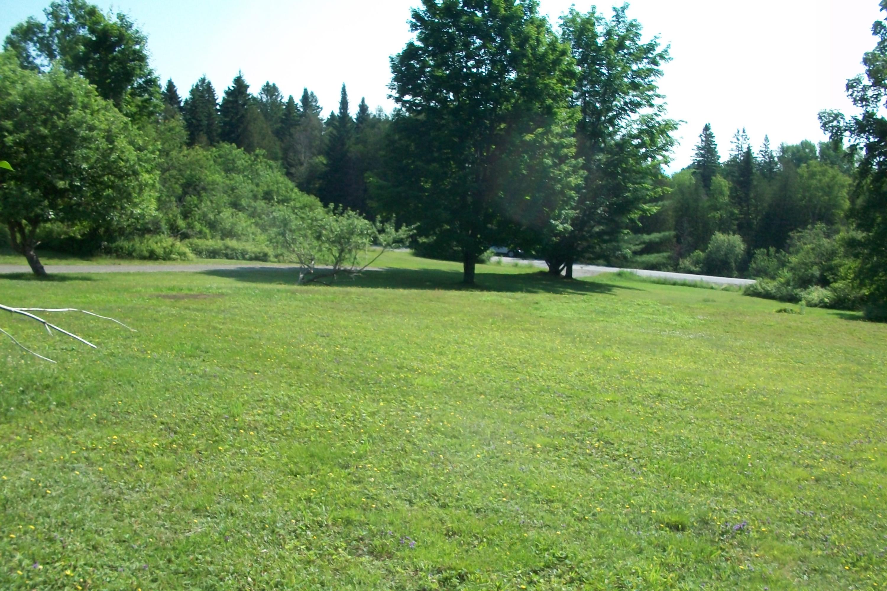 17 Proctor Road Rangeley, ME 04970 - Photo 7 of 27 Yard