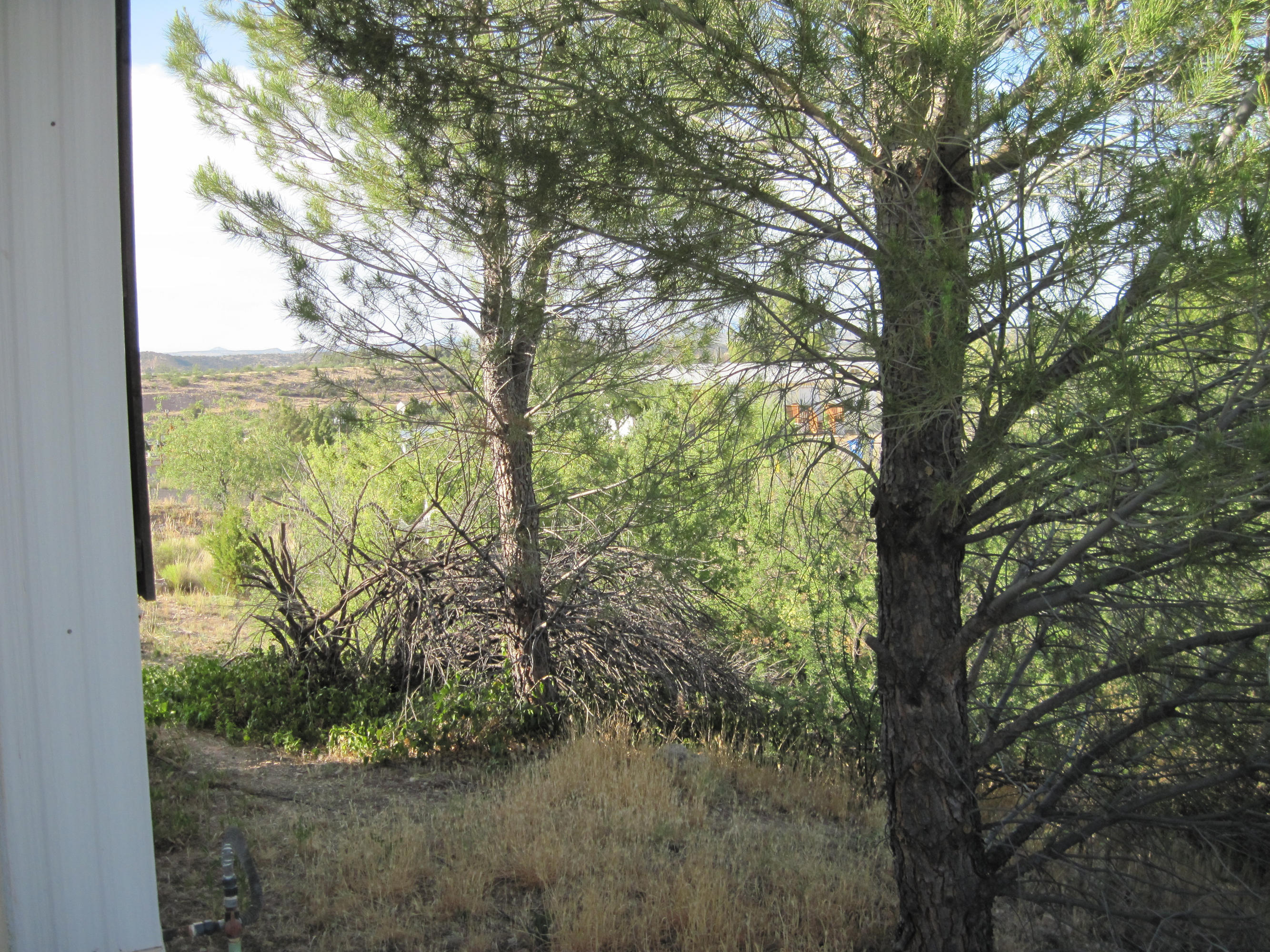 4785 Tagalong Trail Rimrock, AZ 86335 - Photo 24 of 40 tagalong 016